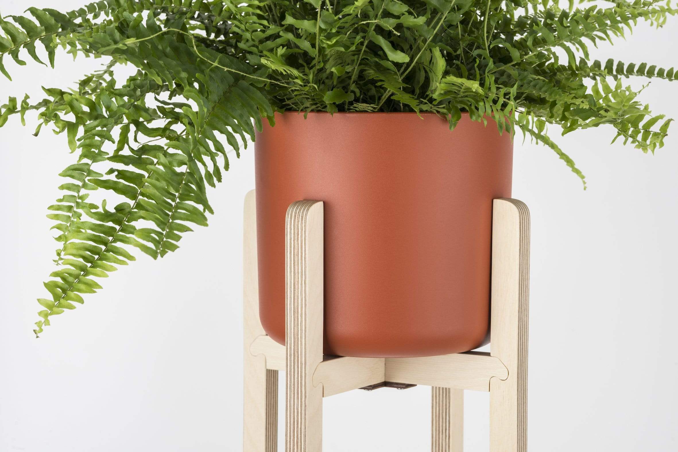 Tall Plant Stand (Natural) – PRIORMADE
